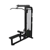 Lat pulldown & low row