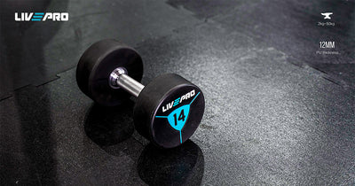 Premium Urethane Dumbbells