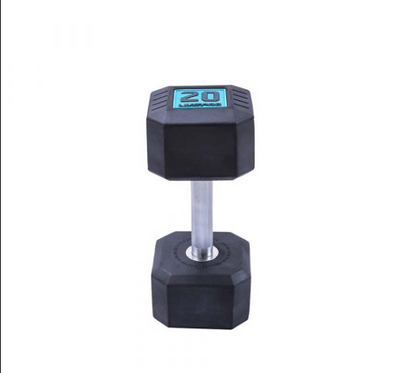 PREMIUM RUBBER DUMBBELLS